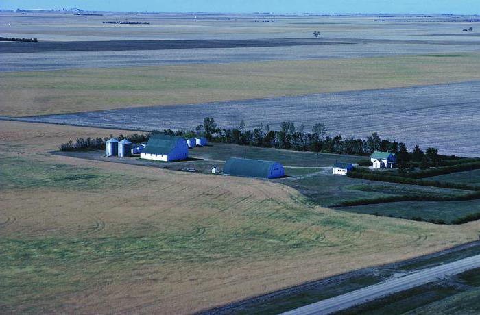 Peasant farm or IP, which is better table of differences