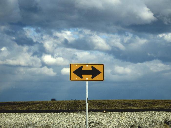 who assigns the organization OKVED code