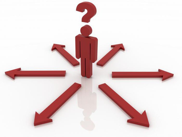 How to check your OKVED assigned to the organization