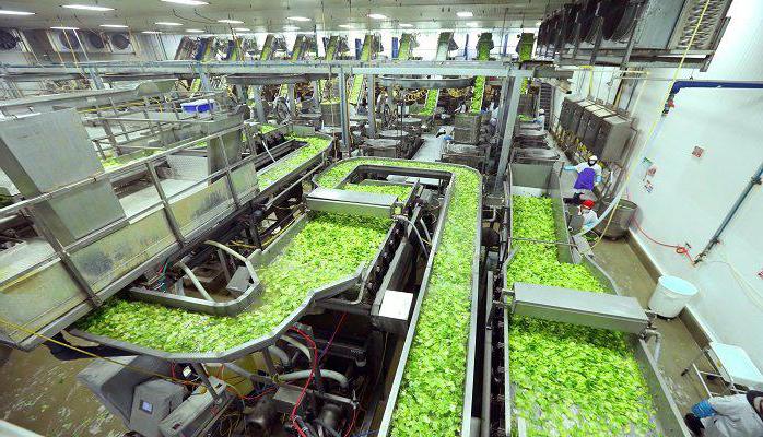 division of legal entities into commercial and non-commercial