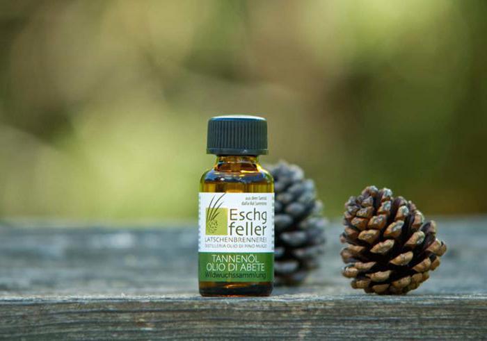 equipment for the production of fir oil