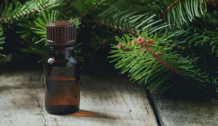 fir oil production business plan