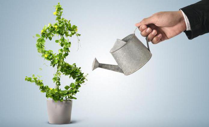 Sberbank of Russia loans to small businesses