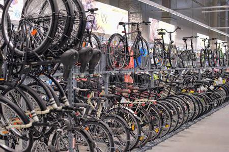 sports shop franchise profit