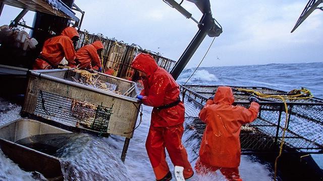 social insurance against work accidents