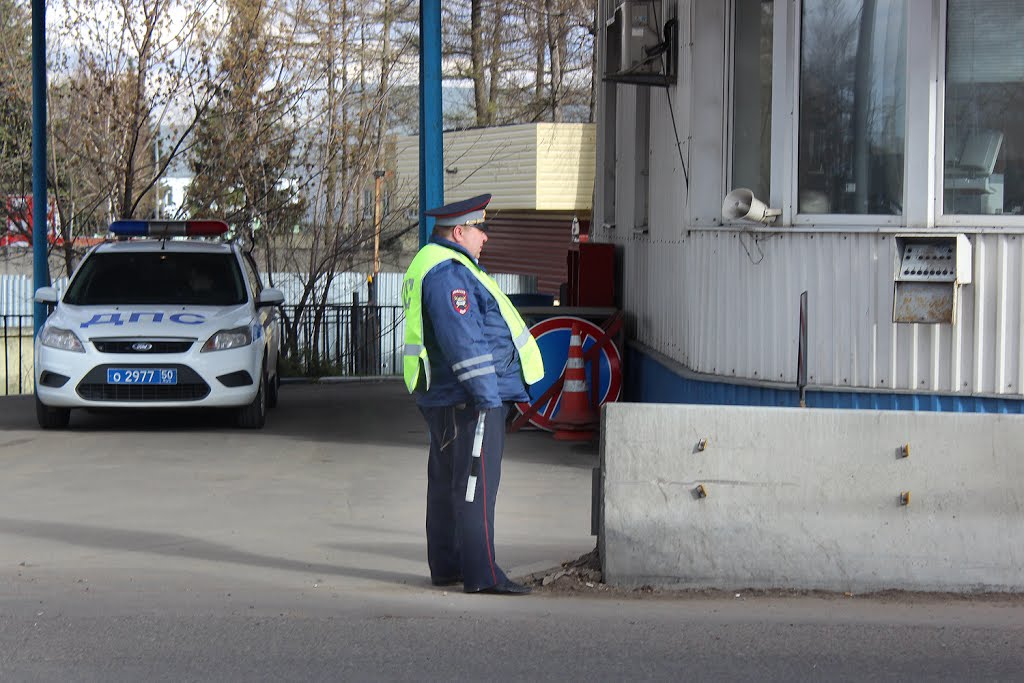 What is the difference between the protocol and the decision