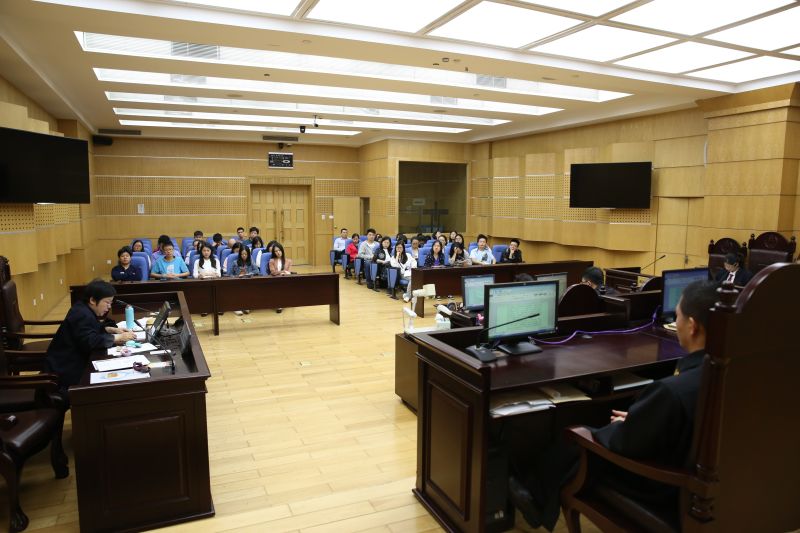 statement of claim on the fact of ownership of a document