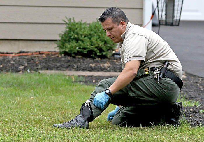 preliminary investigation in criminal