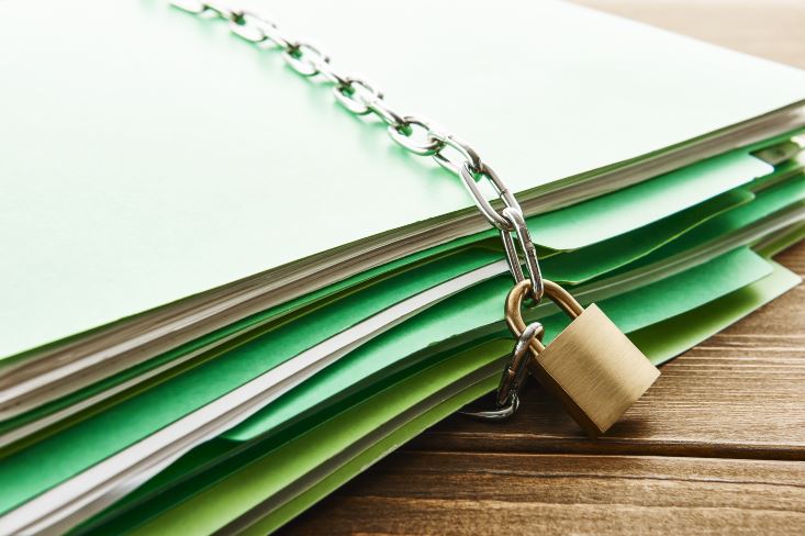 how is the burden of proof distributed in civil proceedings