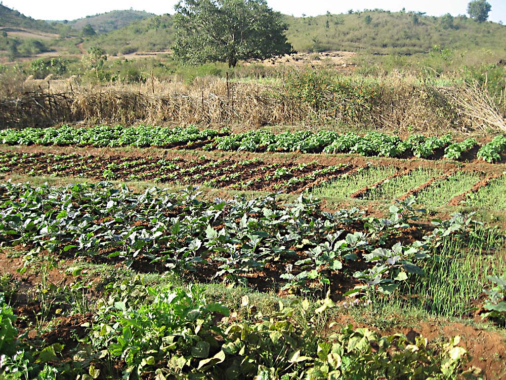 Refusal to register KFK