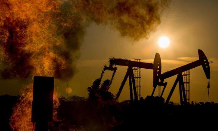 filling in the IEE declaration