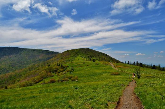 Does weekend include holidays in rb