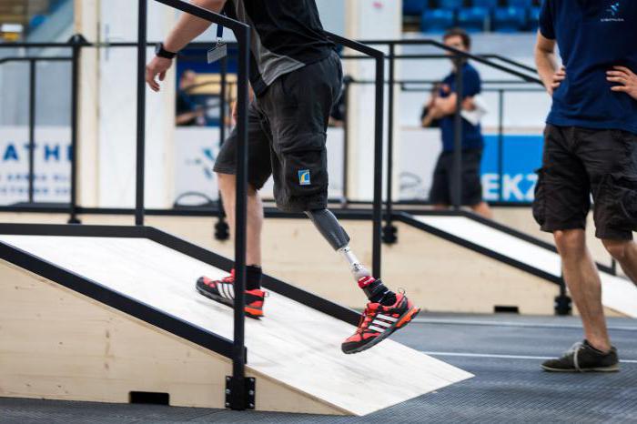 privileges granted to persons with disabilities 2 groups