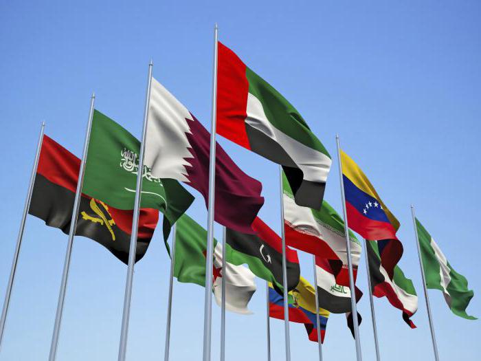 Organization of Petroleum Exporting Countries