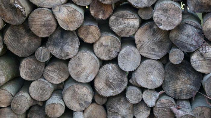 natural rent arises in the agricultural sector