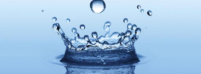 calculation of benefits for utility bills