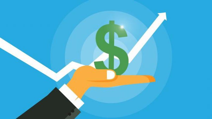 startup from scratch