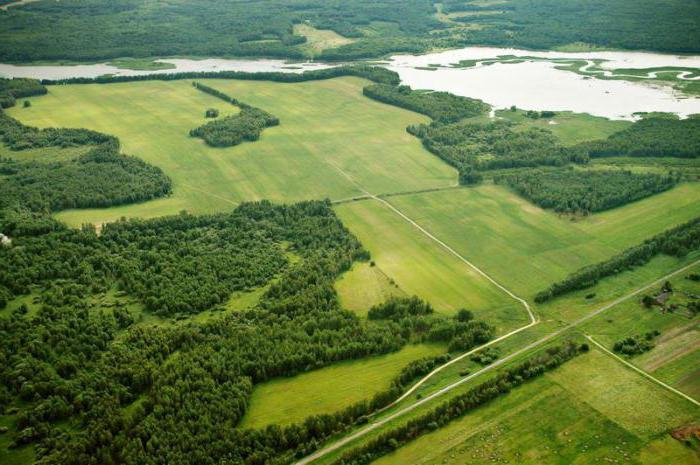 sell the plot quickly