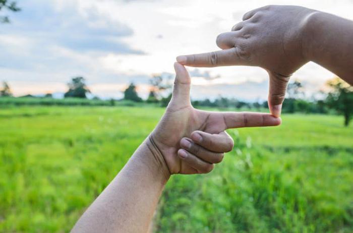 need to sell the plot