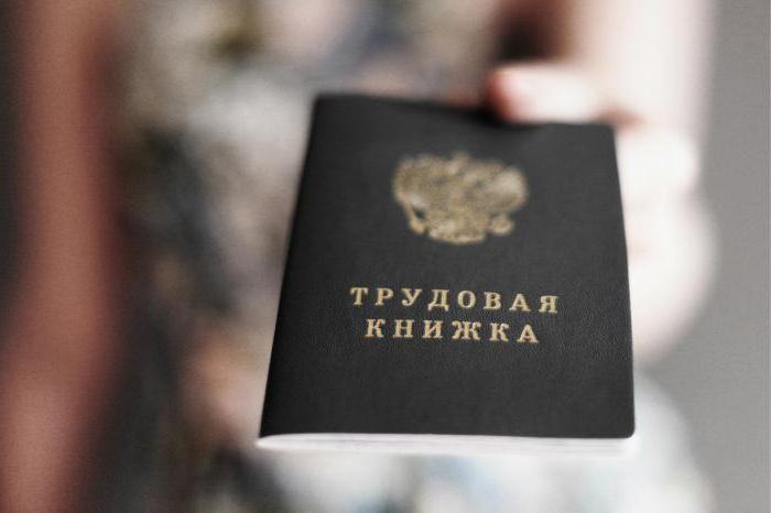 employment contract for microenterprises