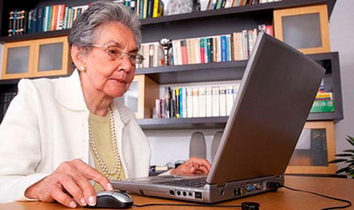 pensioner employment program