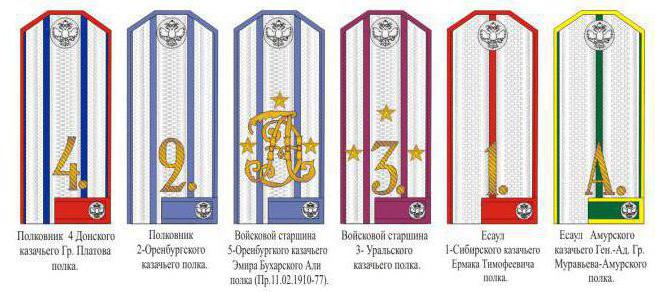 Cossack ranks and shoulder straps photo