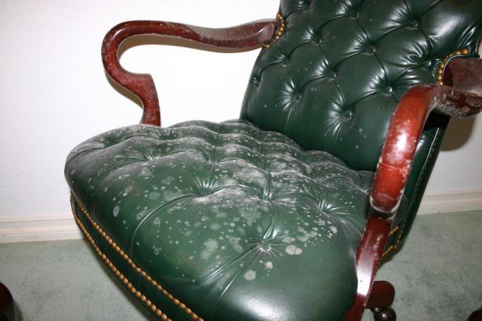 Writing Off Furniture Causes Examples