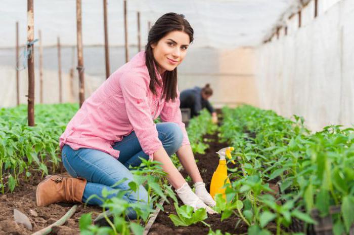 rights of commercial organizations