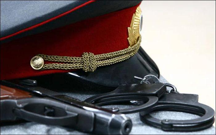  what does the security officer