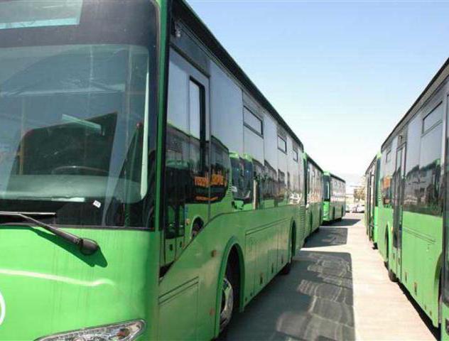 shop manager job responsibilities