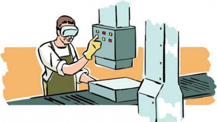 duties of the head of the transport department