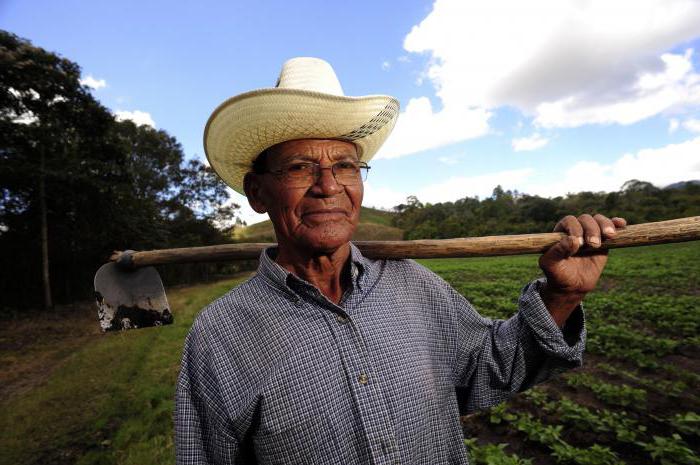 life in belgium reviews tips pluses