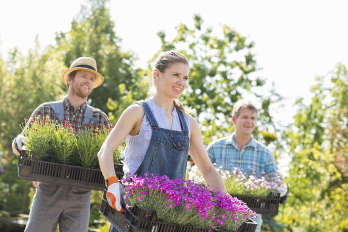 official work in the UK