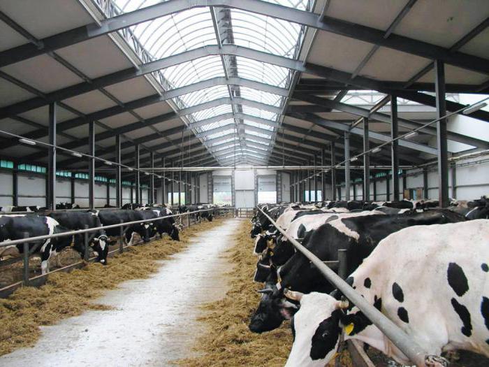 Department of Agriculture of the Chelyabinsk Region