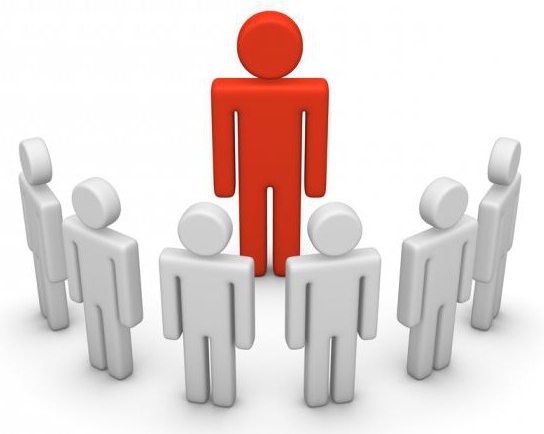 Director Feature Example