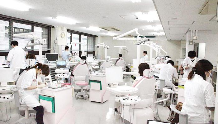 education in japan interesting facts