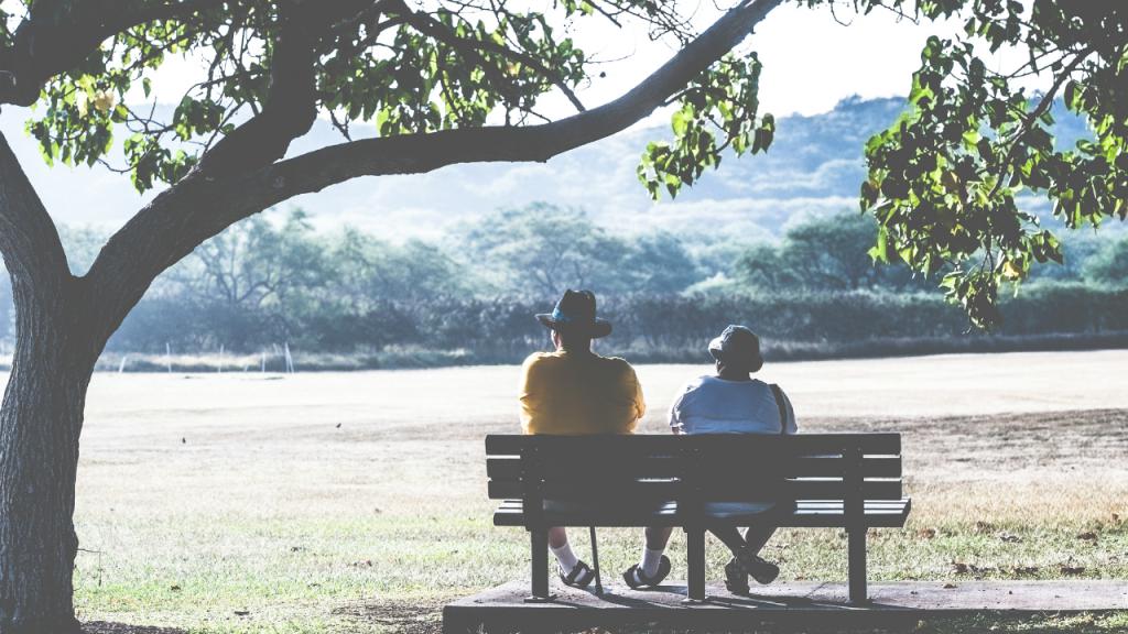 Japan's pension system