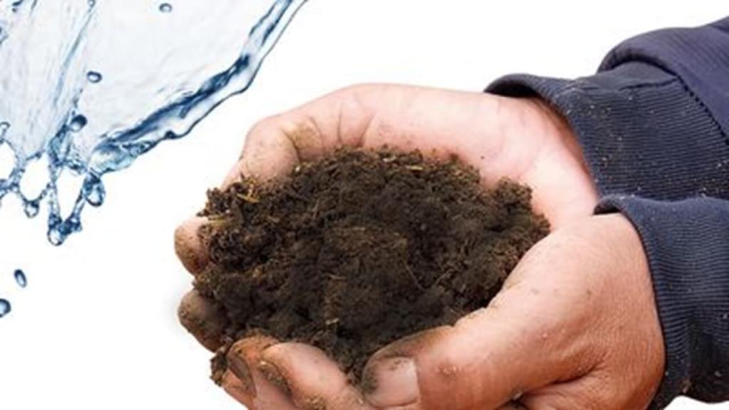 Soil in hands