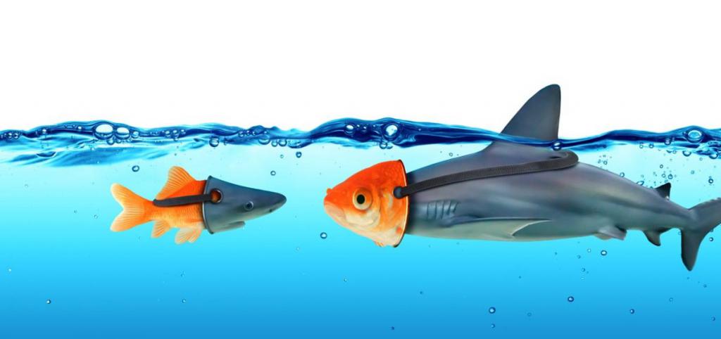 misleading which article