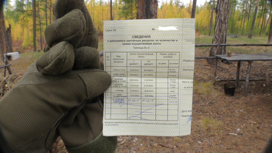 how much is a license