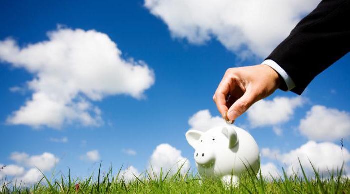 investment rationale