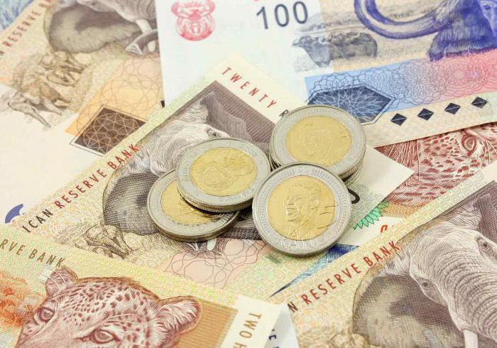 value of shares of the first investment voucher fund