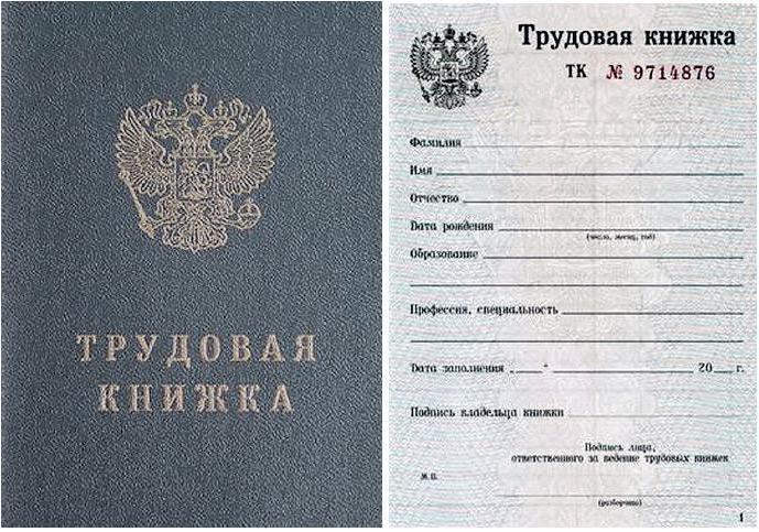 how serious is the falsification of the work book