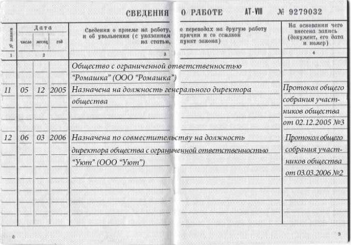 employment record part-time CEO