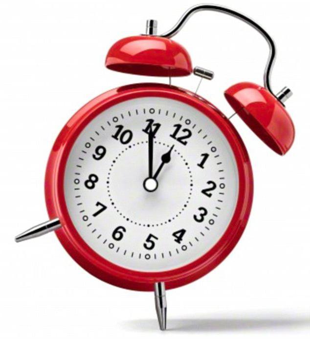 Ministry of Internal Affairs order on irregular working days