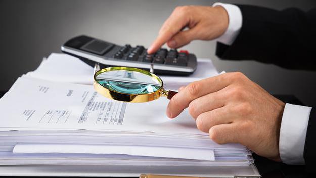 total term for suspension of an on-site tax audit