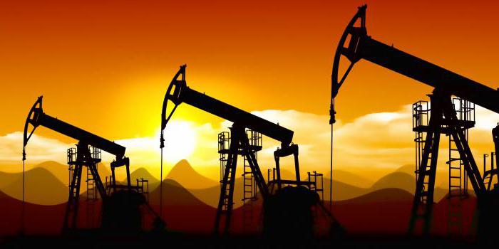 export duties of the customs union