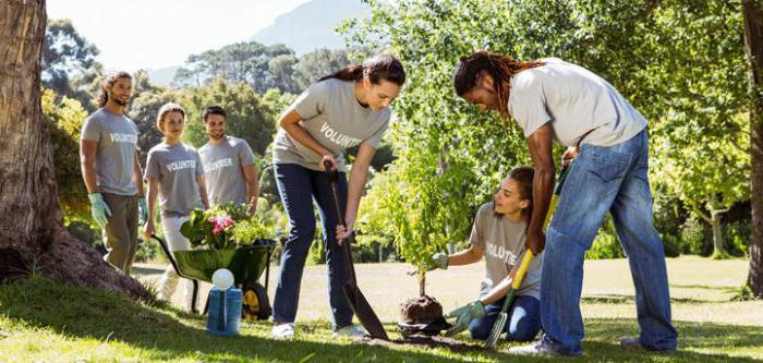 small businesses and socially oriented organizations