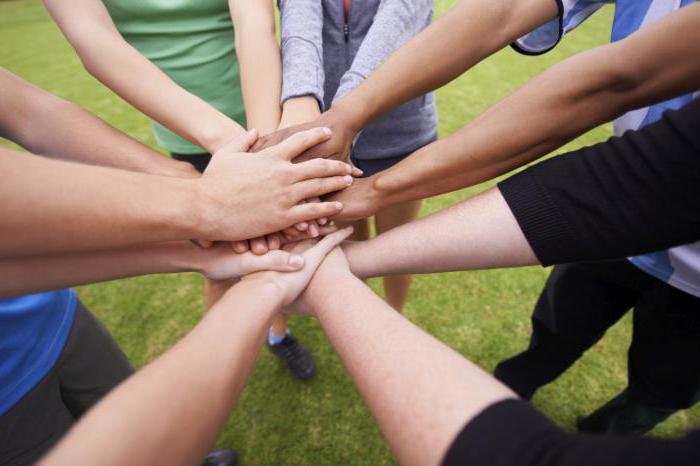 social entrepreneurship report