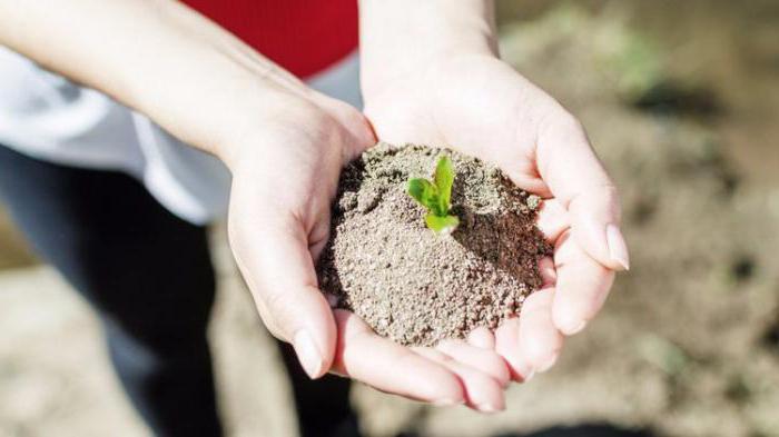 social entrepreneurship law